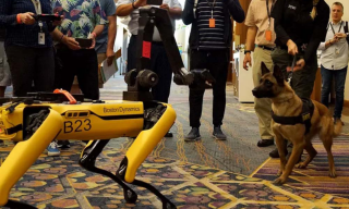 Maschine trifft Tier: Hunderoboter spielt mit Polizeihund