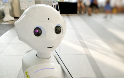 Bundesverband warnt vor KI-Rückstand